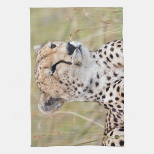 Käse Geschirrtuch (Vertikal)