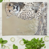 Käse Geschirrtuch (Gefaltet)