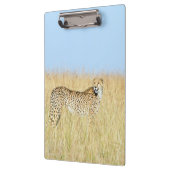 Käse Klemmbrett (Links)