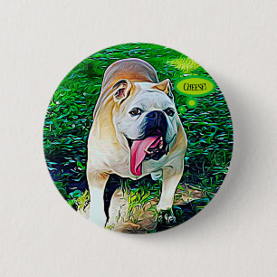 Käse lächelt Bulldog mit Zunge aus Button