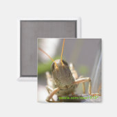 Käse! Magnet (Vorderseite/Rückseite)