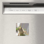 Käse! Magnet (In Situ (Geschirrspüler))