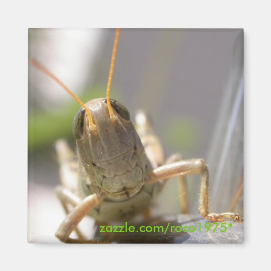 Käse! Magnet (Vorne)