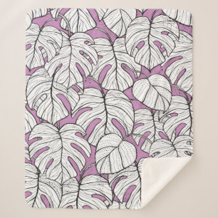 Käse Pflanze exotische tropische Monstera Haus Pf Sherpadecke