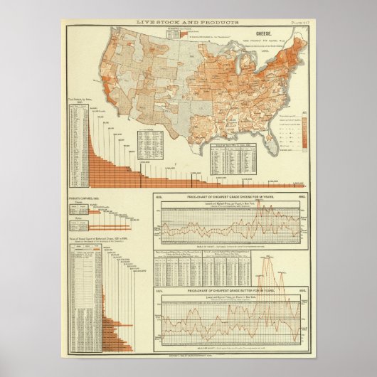 Käse Poster (Vorne)