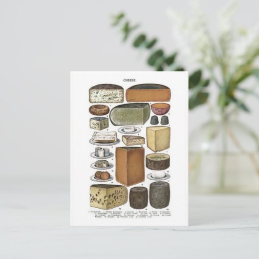 Käse Postkarte (Stehend Vorderseite)