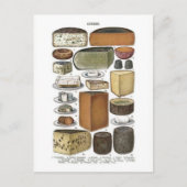 Käse Postkarte (Vorderseite)