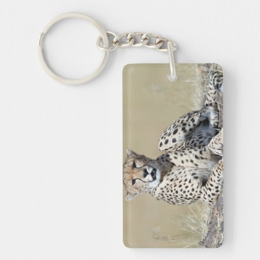 Käse Schlüsselanhänger (Vorderseite)