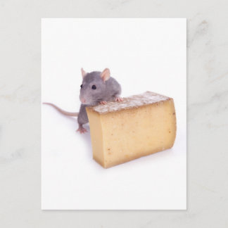 Käserat Postkarte