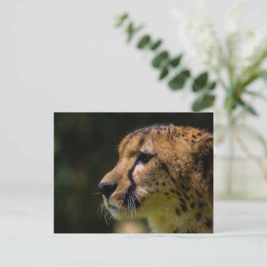 Käsesäge Postkarte (Stehend Vorderseite)