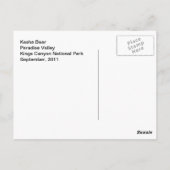 Kasha Bear 1 Postkarte (Rückseite)