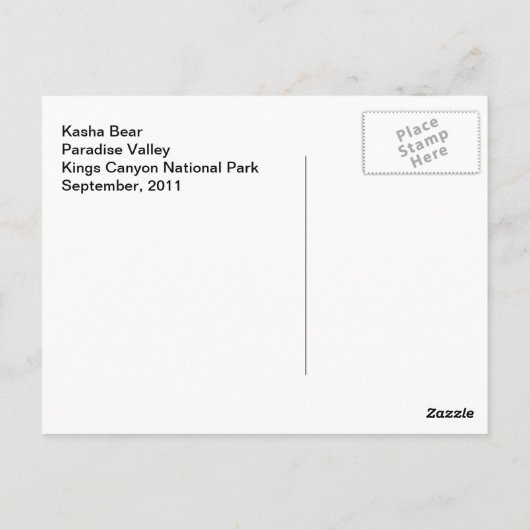 Kasha Bear 1 Postkarte (Rückseite)