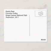 Kasha Bear 2 Postkarte (Rückseite)