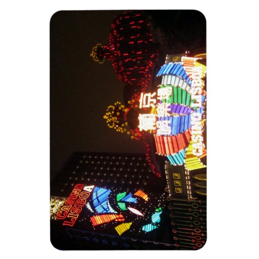 Kasinos Magnet (Vertikal)