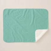 Kaskade Aqua Green Solid Color Print Sherpadecke (Vorderseite (Horizontal))