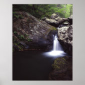 Kaskade auf der Rose Poster (Vorne)