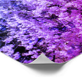 Kaskade der Frühlingsblüten der Blume Poster (Ecke)