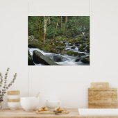 Kaskade in Cosby Poster (Küche)