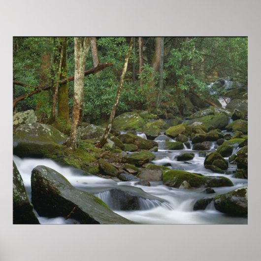 Kaskade in Cosby Poster (Vorne)