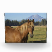Kaskade | Kastanienpferd Fotoblock (Vorderseite)