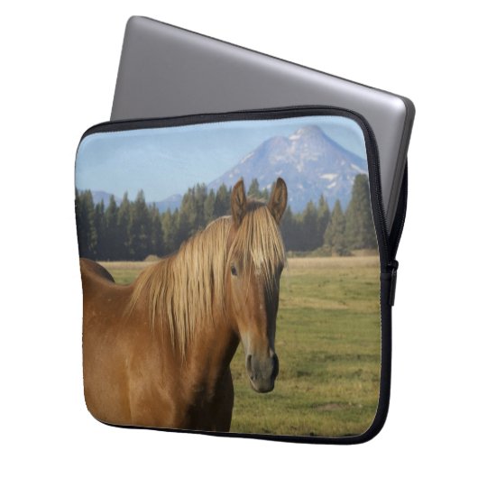 Kaskade | Kastanienpferd Laptopschutzhülle (Vorderseite Links)