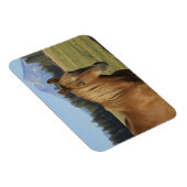 Kaskade | Kastanienpferd Magnet (Rechte Seite)