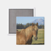 Kaskade | Kastanienpferd Magnet (Vorderseite/Rückseite)