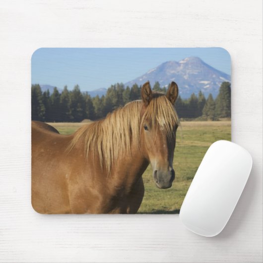 Kaskade | Kastanienpferd Mousepad (Mit Mouse)