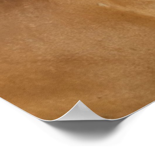 Kaskade | Kastanienpferd Poster (Ecke)