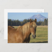 Kaskade | Kastanienpferd Postkarte (Vorne/Hinten)