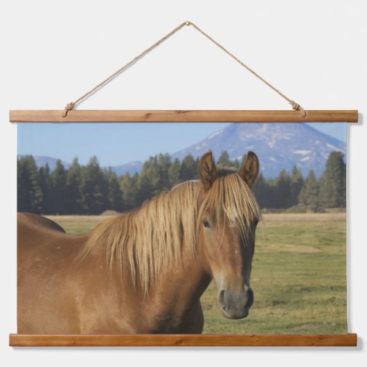 Kaskade | Kastanienpferd Wandteppich Mit Holzrahmen (Vorne)