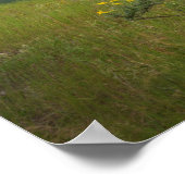 Kaskade-Teiche Rainbow Poster (Ecke)