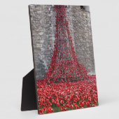 Kaskade von Poppies - Tower of London Fotoplatte (Seite)