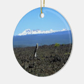 Kaskaden und Lavagesteine, ODER Keramik Ornament (Links)