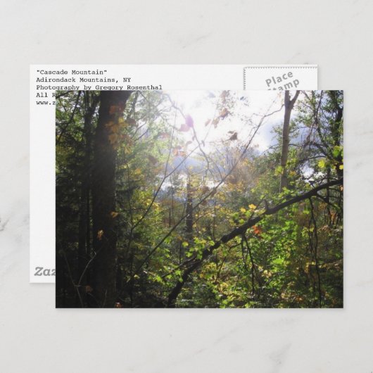 Kaskadenberg Postkarte (Vorne/Hinten)