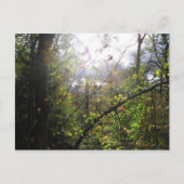 Kaskadenberg Postkarte (Vorderseite)