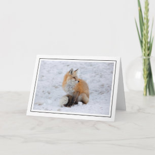 Kaskadenfox im Schnee Feiertagskarte