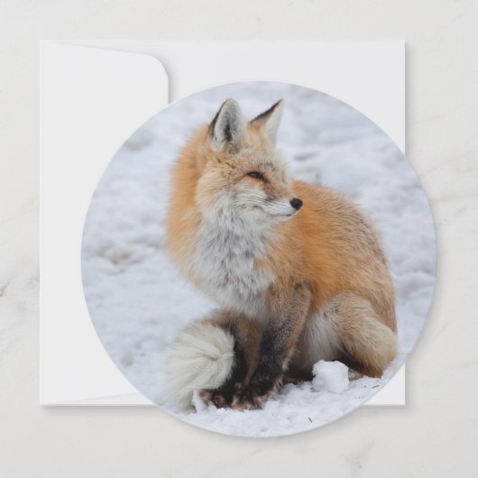 Kaskadenfuchs im Schnee Feiertagskarte (Vorderseite)