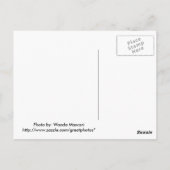 Kaskadengewässer Postkarte (Rückseite)