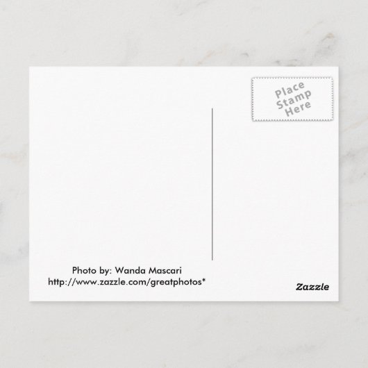 Kaskadengewässer Postkarte (Rückseite)