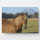 Kaskadenkette | Kastanienbraunes Pferd Fotoplatte (Vorderseite)