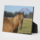 Kaskadenkette | Kastanienbraunes Pferd Fotoplatte (Seite)
