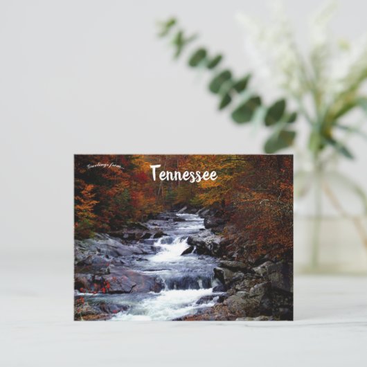 Kaskadierende Rapidlandschaft im Großen Smoky-Berg Postkarte (Stehend Vorderseite)