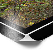 Kaskadierende Wälder Wasserfall und Abfall Blätter Fotodruck (Ecke)