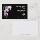 Kaskadierenorchideen-Schönheiten Visitenkarte (Vorne/Hinten)