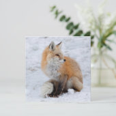 Kaskadierter Fox im Schnee Feiertagskarte (Stehend Vorderseite)