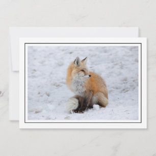 Kaskadierter Fox im Schnee Feiertagskarte