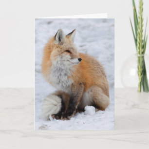 Kaskadierter Fox im Schnee Feiertagskarte
