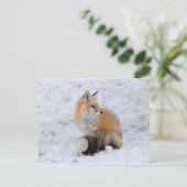 Kaskadierter Fox im Schnee Feiertagspostkarte (Stehend Vorderseite)