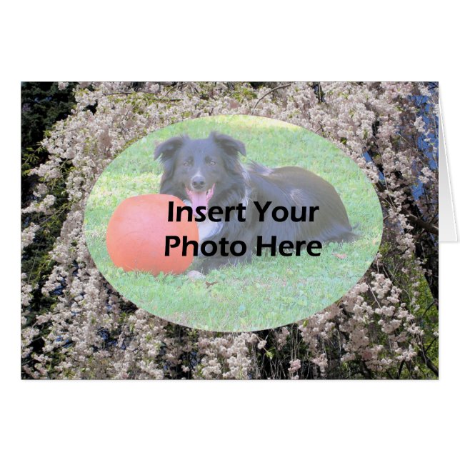 Kaskadierter Frühling der Blütenfotokarte (Vorderseite (Horizontal))